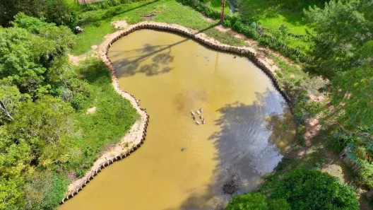 Fazenda/Sítio com 4 Quartos à venda, 7m² no , Quitandinha