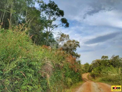 Fazenda/Sítio com 1 Quarto à venda, 5000m² no , Nova Petrópolis