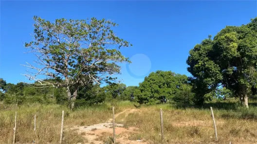 Lote/Terreno à venda, 6000m² no Rasa, Armação dos Búzios