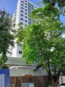 Apartamento com 3 Quartos à venda, 63m² no Boa Viagem, Recife