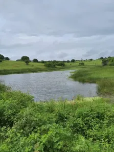 Fazenda/Sítio com 3 Quartos à venda, 300000m² no , Monte Alegre