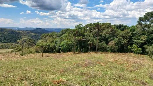 Fazenda/Sítio à venda, 20000m² no , Alfredo Wagner