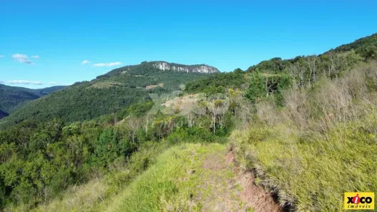 Fazenda/Sítio com 1 Quarto à venda, 120000m² no Linha Pirajá Baixa, Nova Petrópolis
