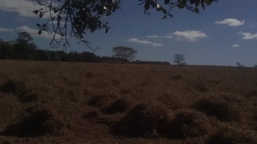 Fazenda/Sítio com 3 Quartos à venda, 4m² no Área Rural de Goiânia, Goiânia