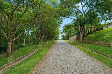 Lote/Terreno à venda, 1278m² no Fazenda Palao (Alpes de Guararema), Guararema