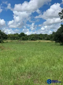 Lote/Terreno à venda, 279m² no , Britânia
