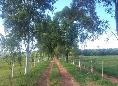 Fazenda/Sítio à venda, 3050200m² no , Loanda