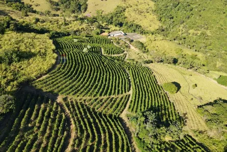 Fazenda/Sítio com 3 Quartos à venda, 160000m² no Centro, São Sebastião da Grama