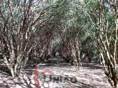 Lote/Terreno à venda, 68000m² no Putim, São José dos Campos