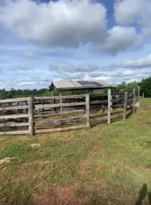 Fazenda/Sítio com 3 Quartos à venda, 518000m² no Bom Jardim, Nobres