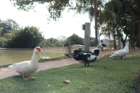 Lote/Terreno à venda, 270m² no Brigadeiro Tobias, Sorocaba