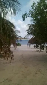 Fazenda/Sítio com 4 Quartos à venda, 500m² no Lagoa Do Bonfim, Nísia Floresta