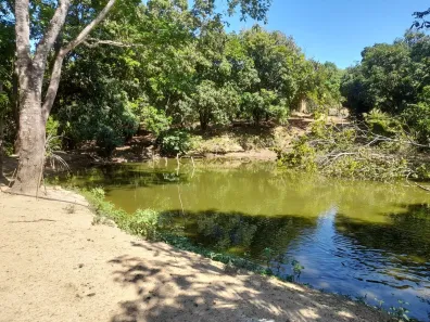 com 3 Quartos à venda, 1450000m² no , Cocalzinho de Goiás