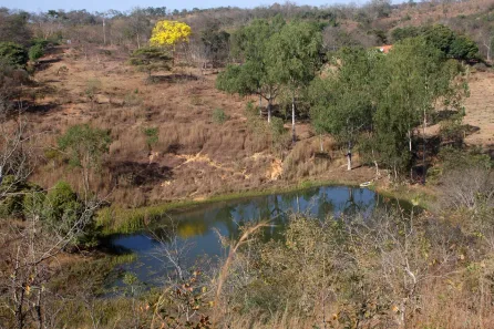 Fazenda/Sítio com 3 Quartos à venda, 630000m² no , Funilândia