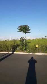Lote/Terreno à venda, 160m² no Parque Orestes Ôngaro, Hortolândia