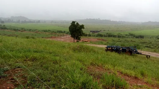 Fazenda/Sítio à venda, 238970m² no , Iguape