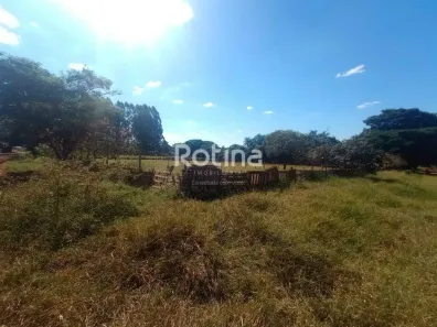Lote/Terreno para alugar, 5000m² no Morada dos Pássaros, Uberlândia