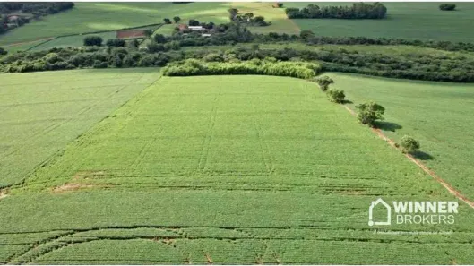 Fazenda/Sítio à venda, 31000m² no Parque Industrial V, Arapongas