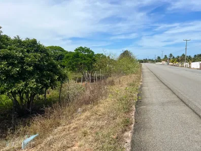 Lote/Terreno à venda, 40000m² no , Piaçabuçu