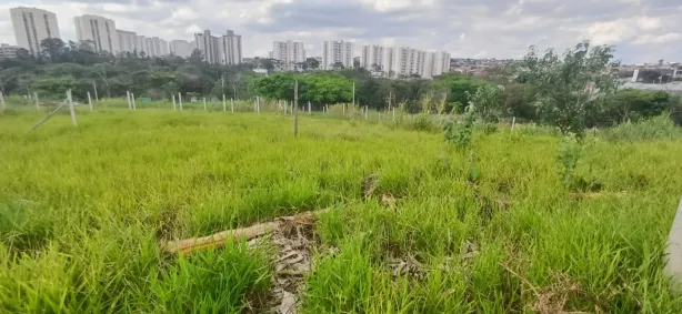 Lote/Terreno à venda, 350m² no Residencial Parque da Fazenda, Campinas