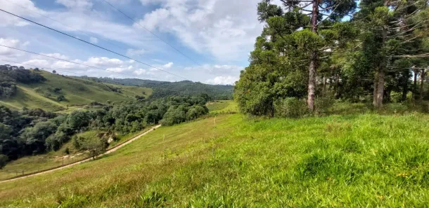 Fazenda/Sítio com 1 Quarto à venda, 642507m² no PAPANDUVA, Bocaiúva do Sul