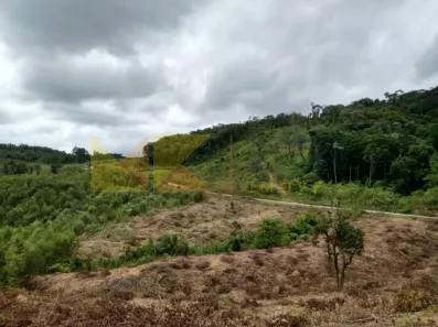 Fazenda/Sítio com 1 Quarto à venda, 64288m² no Cedro Alto, Rio dos Cedros