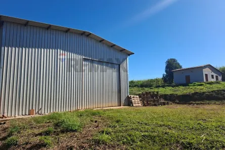 Galpão/Depósito/Armazém com 2 Quartos para alugar, 300m² no Cambuí, Campinas