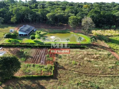 Fazenda/Sítio à venda, 1m² no Centro, Trindade