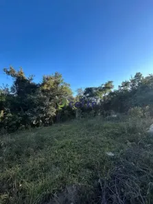 Fazenda/Sítio com 1 Quarto à venda, 5000m² no Floresta, Belo Horizonte