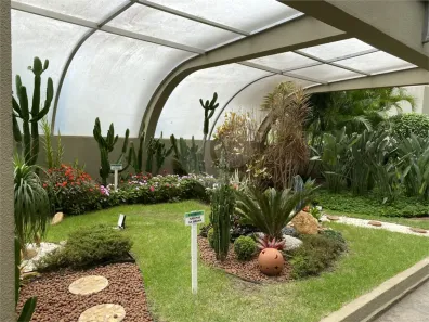 Cobertura com 3 Quartos à venda, 115m² no Barra Funda, São Paulo