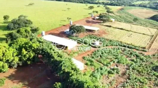 Fazenda/Sítio à venda, 20000m² no Fazenda Bonanza, Prata