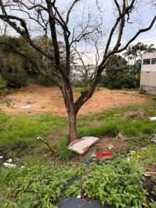 Lote/Terreno à venda, 3150m² no Nossa Senhora da Paz, Balneário Piçarras