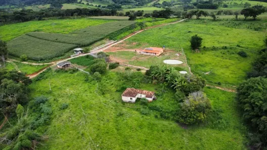 Fazenda/Sítio com 3 Quartos à venda, 310000m² no , Passa Tempo