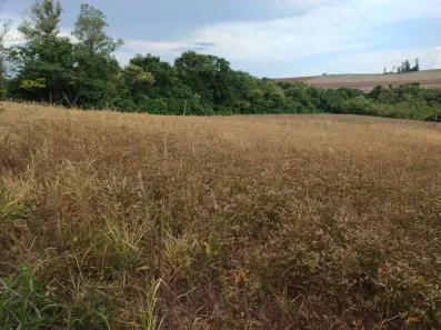 com 3 Quartos à venda, 84000m² no Centro, Ibiporã