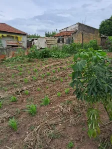 Lote/Terreno à venda, 483m² no Vila Pires, Santa Bárbara D'Oeste