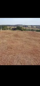 Fazenda/Sítio com 3 Quartos à venda, 1000m² no Centro, Anápolis