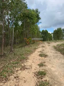 Fazenda/Sítio à venda, 1000m² no , Itatiaiuçu