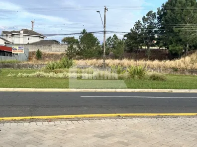 Lote/Terreno para alugar, 1485m² no Jardim Carvalho, Ponta Grossa