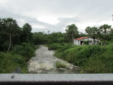 Fazenda/Sítio à venda, 330000m² no , São Gonçalo do Amarante