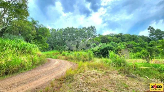 Fazenda/Sítio com 1 Quarto à venda, 5000m² no Canto Ruckert, Linha Nova
