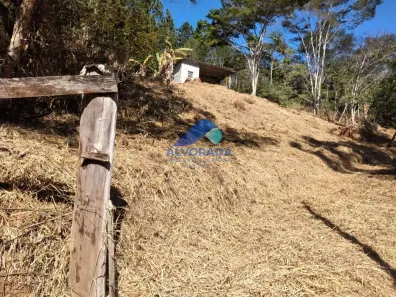 Lote/Terreno à venda, 5000m² no Canaã, Jambeiro