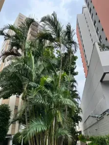 Apartamento com 2 Quartos à venda, 60m² no Vila Sofia, São Paulo