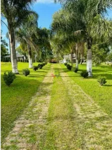 Fazenda/Sítio à venda, 5000m² no Mandirituba, Mandirituba