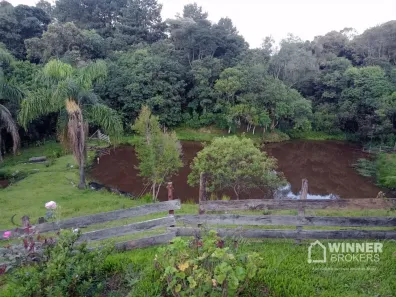 Fazenda/Sítio com 4 Quartos à venda, 240m² no Areia Branca dos Assis, Mandirituba