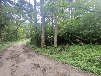 Fazenda/Sítio com 1 Quarto à venda, 8167m² no Bateias, Campo Largo