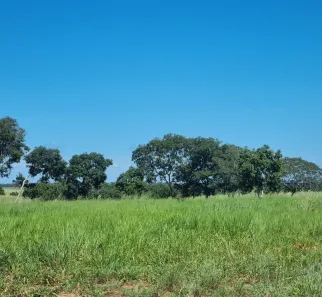 com 3 Quartos à venda, 250m² no , Nobres
