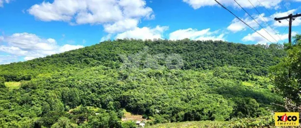 Lote/Terreno à venda, 5000m² no Galópolis, Caxias do Sul