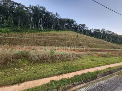 Lote/Terreno à venda, 286m² no Dom Joaquim, Brusque