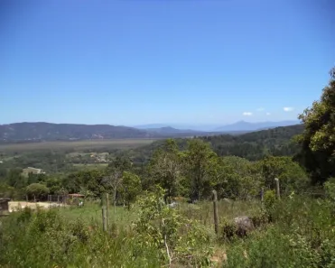 Lote/Terreno à venda, 17500m² no Ratones, Florianópolis
