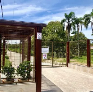 Apartamento com 1 Quarto para alugar, 30m² no Lagoa da Conceição, Florianópolis